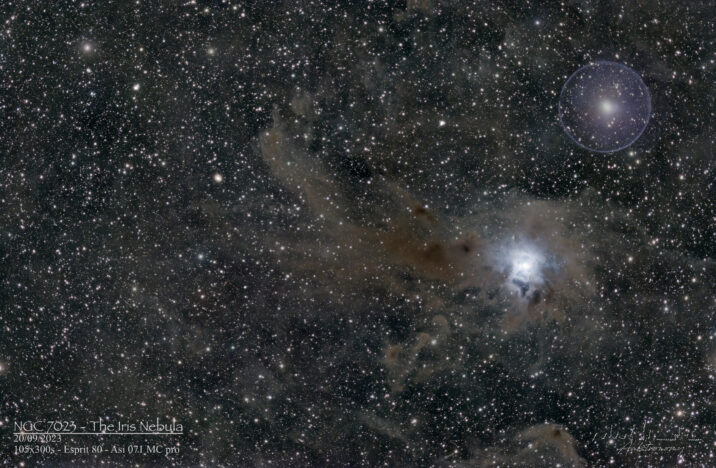 NGC 7023 – The Iris Nebula.