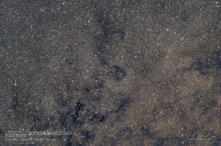 LDN 1771 – Parrot Head Nebula