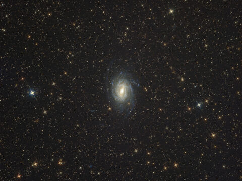 NGC 6744 (Pav)