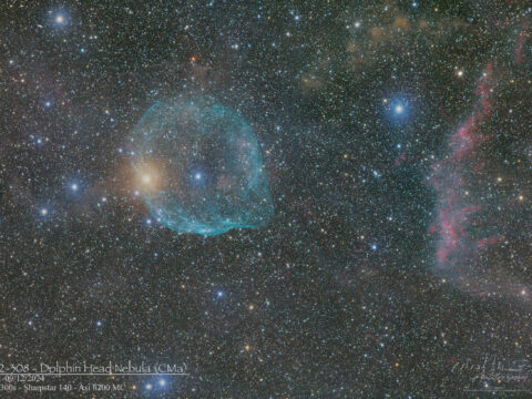 SH2-308 Dolphin Head Nebula