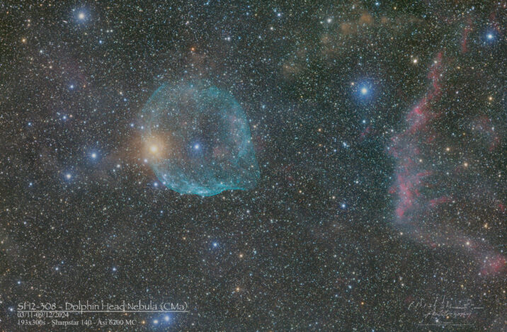 SH2-308 Dolphin Head Nebula